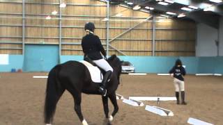 Ginny Novice 28