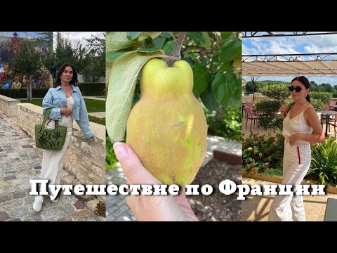 Путешествие по Франции| Шато, Вино и Рестораны| Интересные Города и Достопримечательности
