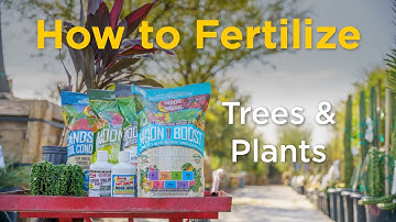 How To Fertilize Your Trees and Plants