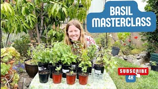 Basil Masterclass: How to Multiply Your Harvest