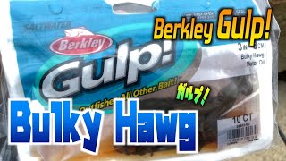 Berkley Gulp Bulky Hawg For Jetty Fishing It Stinks, But It Works