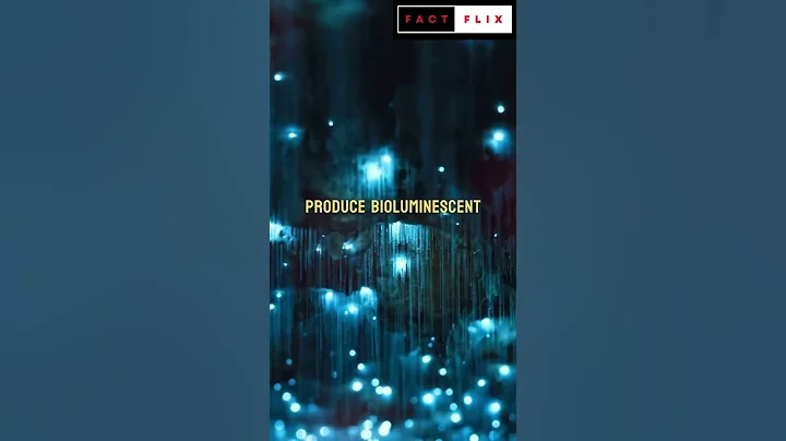 Unveiling the Magical World of Glow Worms: Discover the Fascinating Bioluminescent Insects!🐛✨#shorts