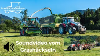 2 Schnitt Grashäckseln 2026 | Soundvideo | Kleinhagauer | Steyr Traktoren | Claas | Schwaden | 4K