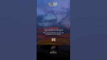 - تلاوة مبهرة للشيخ محمد اللحيدان من سورة البقرة (أَمْ حَسِبْتُمْ أَن تَدْخُلُوا۟ ٱلْجَنَّةَ)🌹