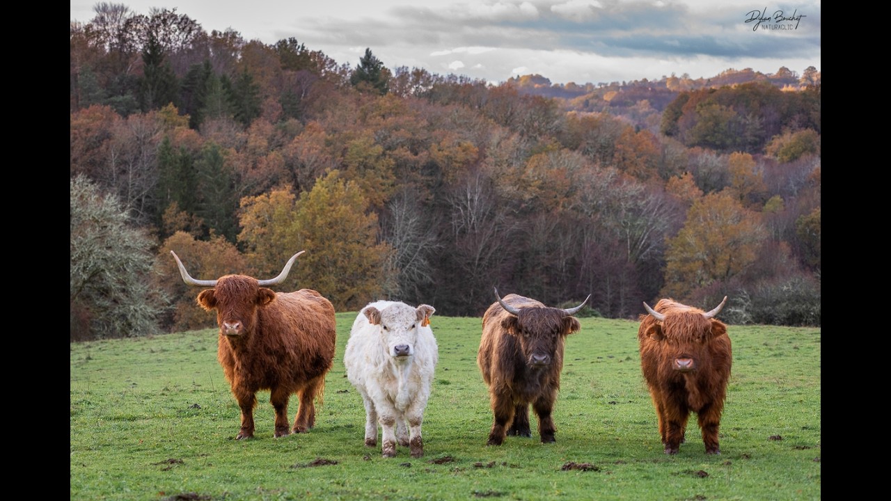 Immersion dans notre ferme pédagogique