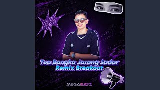 Tua Bangka Jarang Sadar (Remix Breakout)