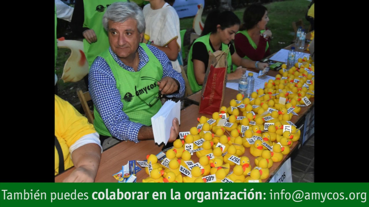 Sabías que gracias a unos patitos de goma se conocen mejor las corrientes  oceánicas? 