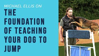 Michael Ellis on The Foundation of Teaching Your Dog To Jump