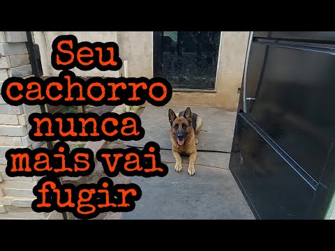 ผลสลากกินแบ่งรัฐบาล วันที่ 1 พย. 2567