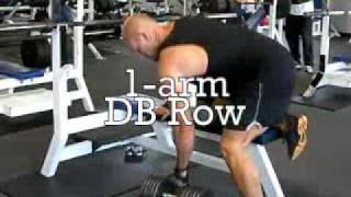 Faster Swimming Strength - DB Row