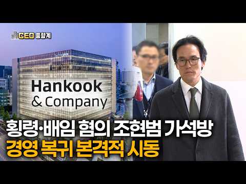 [CEO풍향계] 횡령·배임 혐의 조현범 회장 가석방 '경영 복귀' 본격적 시동 / 머니뭅TV