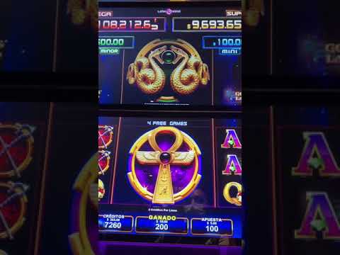 ¿SE GANA MUCHO DINERO EN MYSTAKE POLLO CASINO? (La Verdad) | Dino MyStake