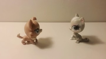 Leafpool vs Feathertail