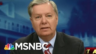 Lindsey Graham Goes From Donald Trump's A 'Jackass' To Full MAGA | The Beat With Ari Melber | MSNBC