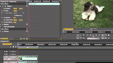 Transforming Video Clips   Adobe Premiere Pro CS5 Video Tutorials