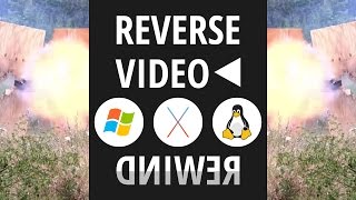 Reverse Video ◄ Easy Tutorial Windows/Mac OS X/Linux screenshot 3