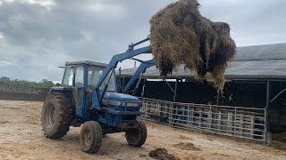 Leyland 272 Cleaning out The Shed After Calves