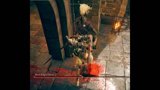 Pt 17 NG+2 Ft. Reprimand,Golden Hippo, then off to Darklight- C.K. plays Elden Ring NG+2 mid 2026