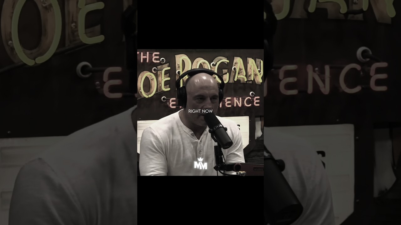 It's Never Too Late | Joe Rogan