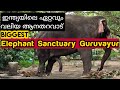 Biggest elephant sanctuary guruvayur  punathur kotta  jyothimani wayanad