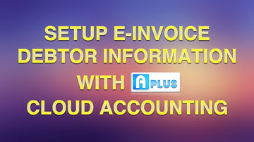 Aplus Software - E-Invoice - Setup Debtor Information