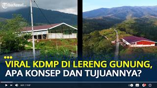 Penjelasan Kades Kediten Viral Koperasi Merah Putih di Lereng Gunung Prau, Ini Konsep dan Tujuannya