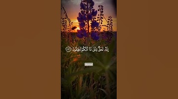 وفي السماء رزقكم وما توعدون من سورة الذاريات للقارئ إسلام صبحي
