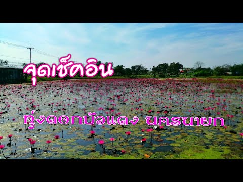 ทุ่งบัวแดงนครนายก