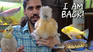New RARE FIsh & All of my PETS! | I am Back!