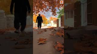 Shigar Valley Skardu 2 Minutes