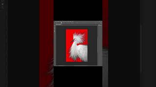 Adobe Photoshop 2026 - How to Fix Background Removal Mistakes Fast