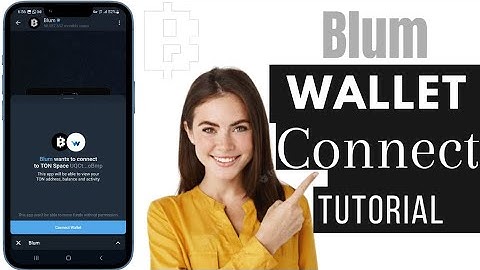 Blum Wallet Connect: How To Connect Blum To Wallet