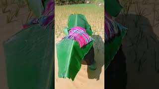 #Documenting rural life #Share my country life #It is not easy for farmers to farm the lan