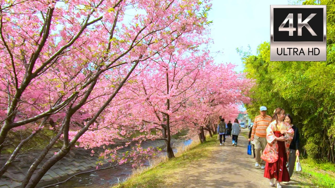 山川  Sponsored Listing - 1993 Kawasaki ZX-7 from Speedwerks ! - Rare