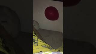 the balloon is stuck on the wall