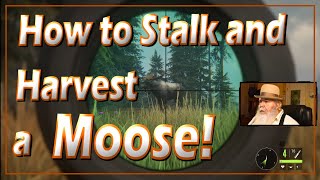 Stalking a Moose, Skill Points, and Blinds: Beginner Tutorial 4 - theHunter: Call of the Wild screenshot 1