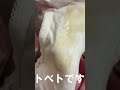 aimerfeelの花柄ショーツに宿る官能と愛の物語（妻の使用済み下着美術館）