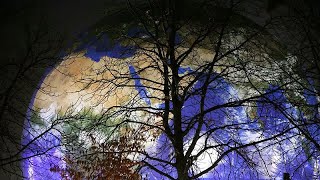 Killt das Coronavirus die EU-Klimapolitik?