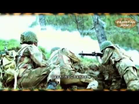 cheetah sipahi cheetah sipahi