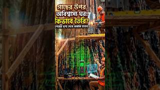 Incredible tricks to build a house on a tree urmaking