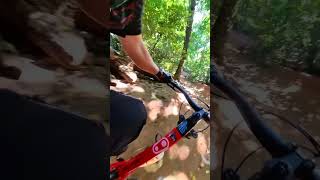 Mountain Bike Downhill Trek Slash #mtb #adrenalina #parquenacionaldatijuca #downhill #pedal #shorts