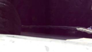 Famous KOH 2012   Greg Adler through Wrecking Ball   B&Gs Great Adventures Profile