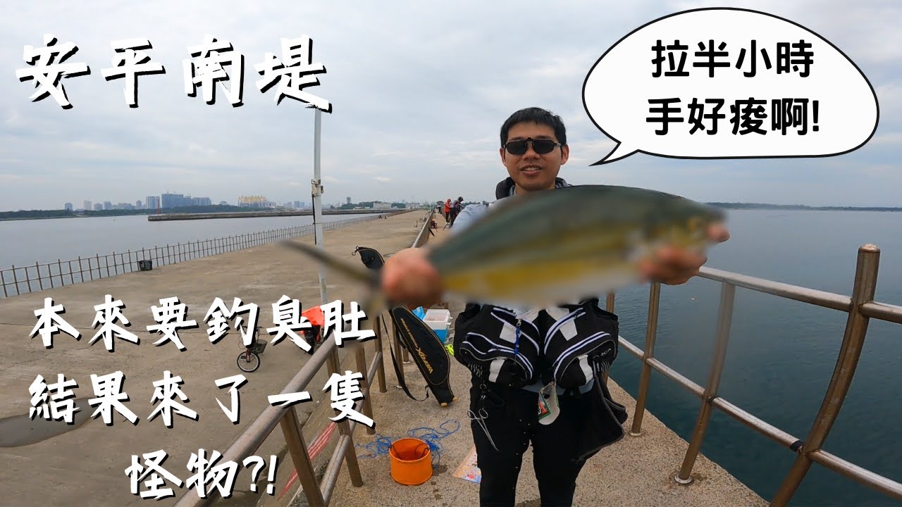 【阿修釣魚中】安平南堤 本來要釣臭肚 結果來了一隻怪物?! 還是有釣到臭肚啦 #阿修釣魚中 #釣魚 #磯釣 #安平