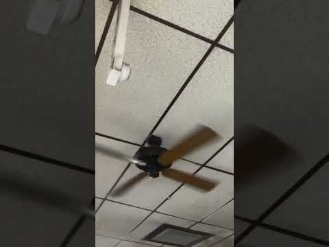 Emerson plastic ceiling fans in a restaurant