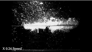 Hitchhiking drone with suction disc quickly transitions between air and water