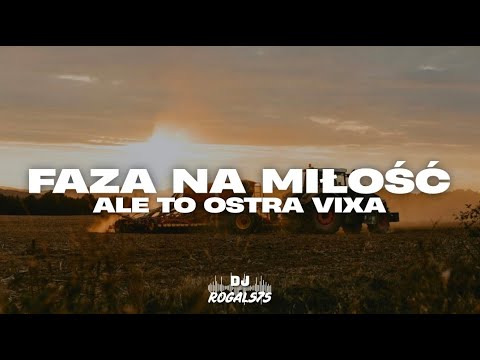 FAZA NA MIŁOŚĆ ALE TO OSTRA VIXA (ROGAL575 MASHUP)