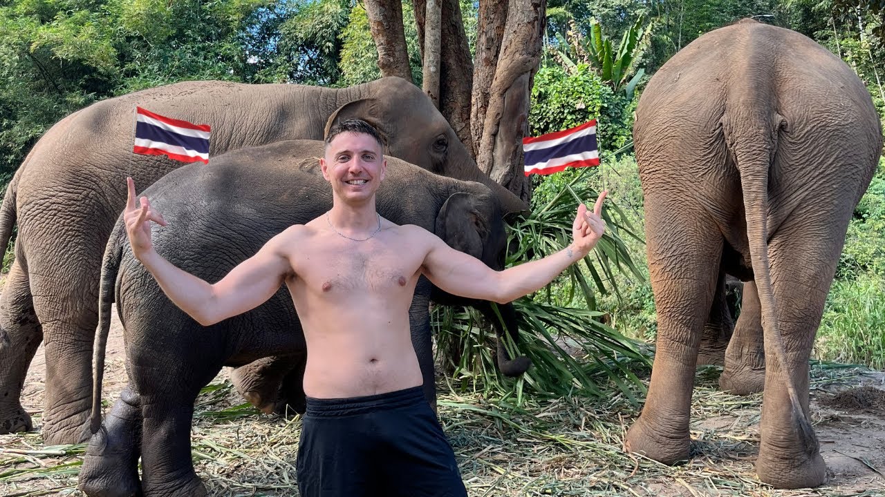 Fui a un TOUR de elefantes | ¿HICE BIEN? | Chiang Mai. Tailandia 🇹🇭