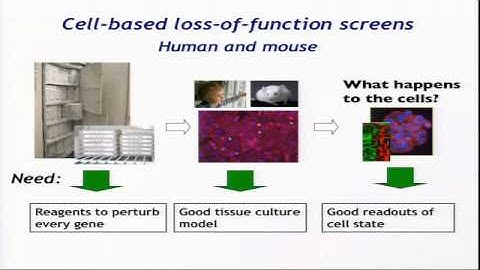 BroadE: Functional Genomic Screens in the RNAi Platform