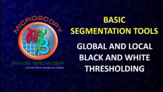 Microscopy Image Browser: A Platform for Segmentation and Analysis of Multidimensional Datasets