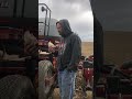 At least we’re getting along #plant22 #farm #caseih #shorts